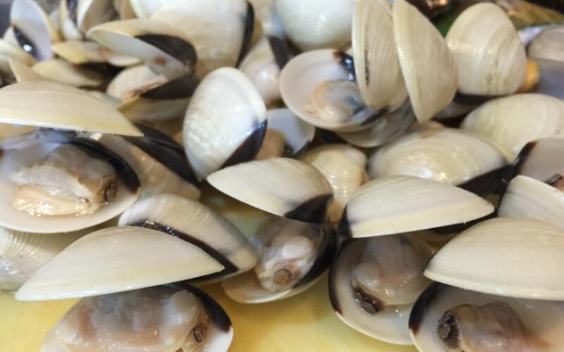 Clams