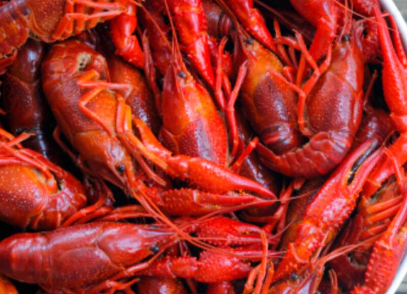 Crawfish